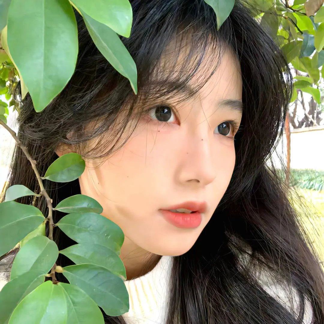 宠儿